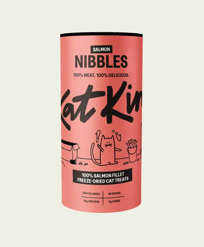 Salmon Nibbles