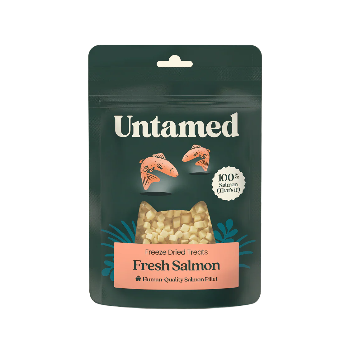Fresh Salmon